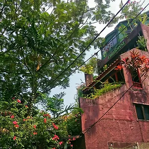 Auberge de jeunesse Rainforest